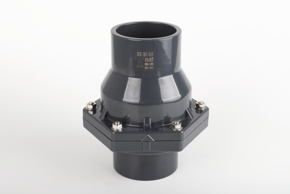 宁县翻板式止回阀